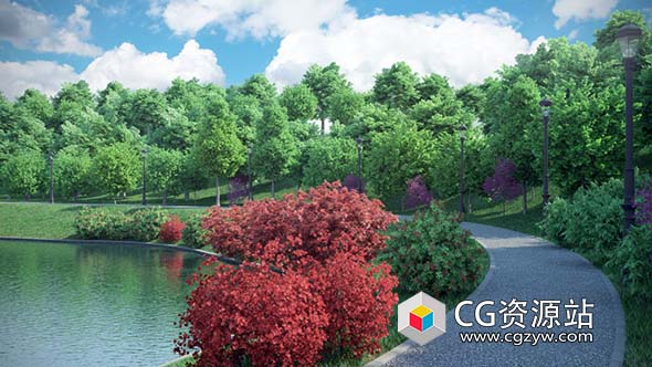 3D树木红橡树红枫树银杏树郁金香树模型(C4D+C4D VRAY格式)CGAxis Models Volume 76 Trees X-天天素材网