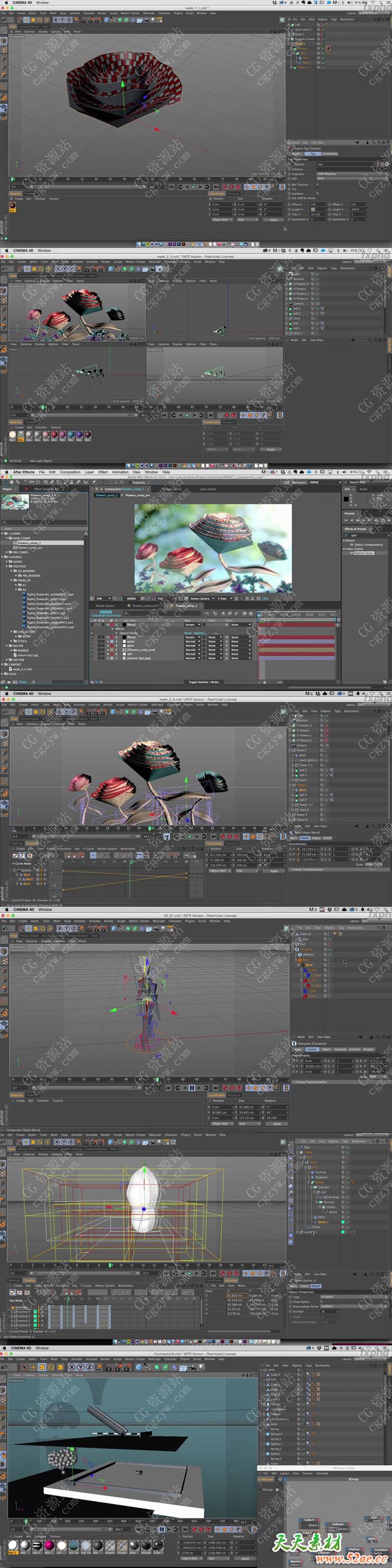 C4D AE纸张花朵场景材质动画渲染片头包装合成教程 FXPHD AFX225