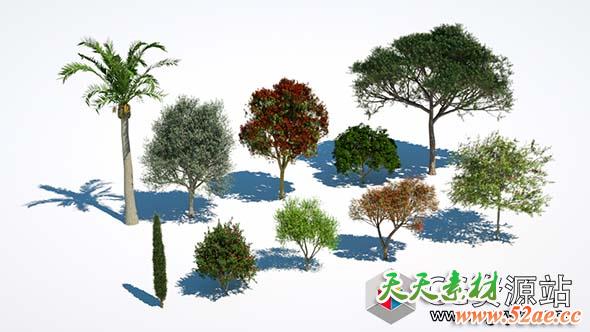 C4D Max精细树木植物模型包插件Laubwerk Plants Kit 4 v1.0.25 Win/Mac