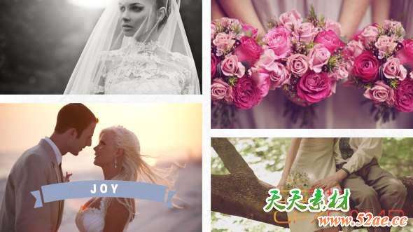 AE模板-欧式婚礼相册包装片头 RocketStock – RS1039 Ceremony-天天素材网