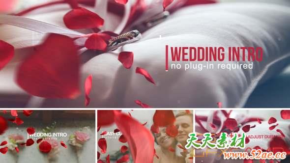 AE模板-玫瑰花瓣婚礼相册包装片头 Wedding Intro-天天素材网