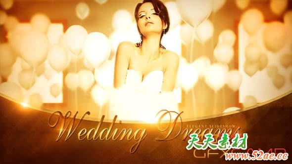 AE模板-浪漫婚礼包装开场 Wedding Dreams-天天素材网
