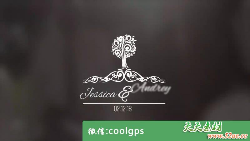 结婚婚礼文字标题pr模板Wedding Titles Premiere Pro Templates-天天素材网