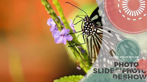 现代流行促销推广介绍PR模板Mid Century Modern Promo-天天素材网