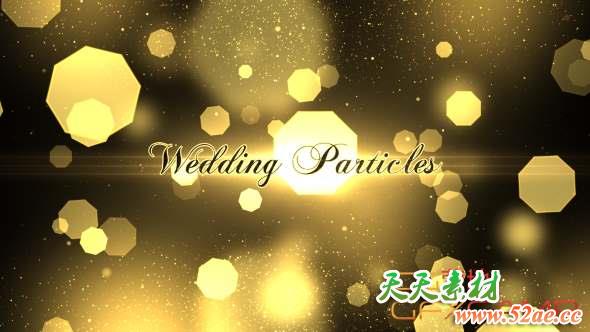 AE模板-梦幻粒子背景婚礼图片开场 Wedding Particles Opener-天天素材网