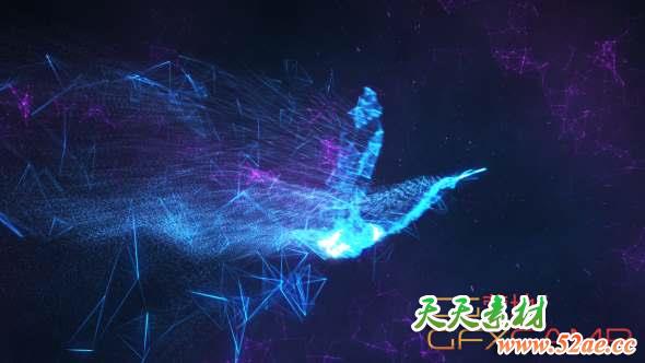 AE模板-点线Plexus飞鸟Logo动画 Serenity Abstract Bird Reveal-天天素材网