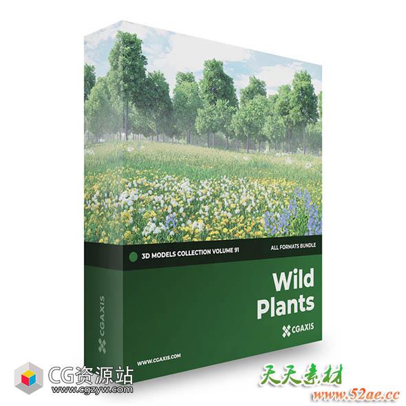 野生植物花朵3D模型 CGAxis – Wild Plants 3D Models Collection Volume 91(C4D/MAX/OBJ/FBX等格式)-天天素材网
