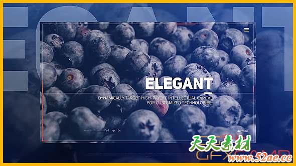 AE模板-旋转滑动图片开场 Elegant Flow Slides-天天素材网