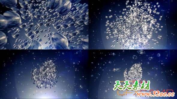 AE模板-钻石汇聚Logo动画 Diamonds Logo-天天素材网