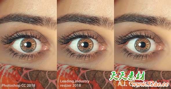 图片放大细节模糊锐化软件 Topaz Labs A.I. Gigapixel 1.0.1 Win破解版-天天素材网