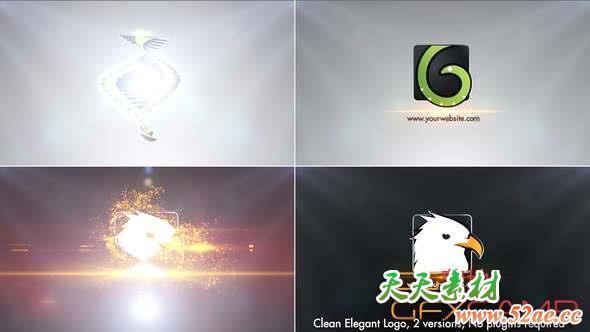 Clean Elegant Logo 22502163