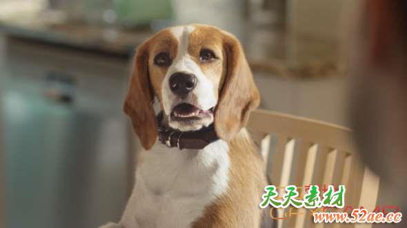 Nuke景深插件 Peregrine Labs Bokeh v1.4.4 for Nuke 11.2 Win/Mac/Linux破解版-天天素材网