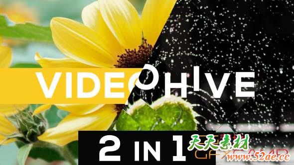 AE模板-动态文字图片快闪片头 Dynamic Typo Opener 2 in 1-天天素材网