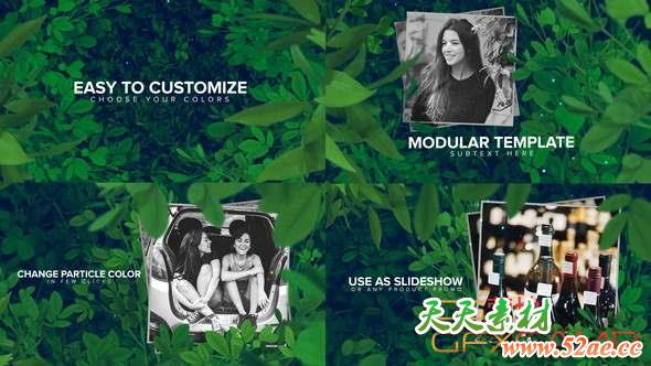 AE模板-绿叶草丛相册照片开场 New Beginnings-天天素材网