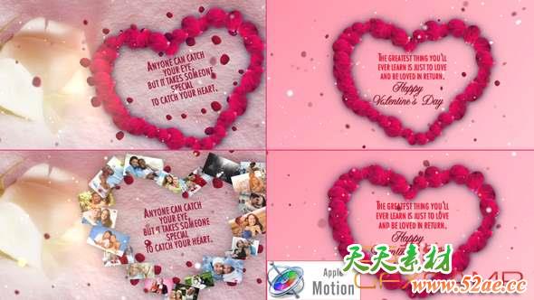Apple Motion模板-玫瑰花瓣爱心浪漫片头 Valentines Day Wishes-天天素材网