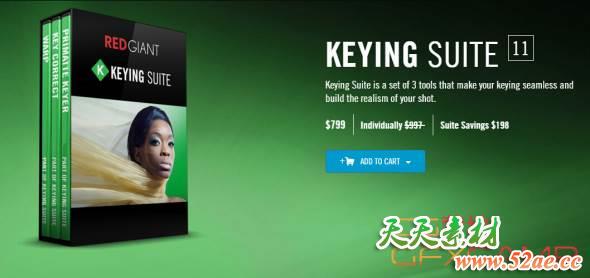 红巨星键控抠像套装 Red Giant Keying Suite 11.1.10 CS5-C2019 Win/Mac-天天素材网