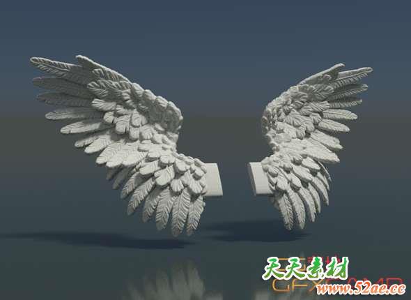 翅膀3D模型 Cubebrush – Wings-天天素材网