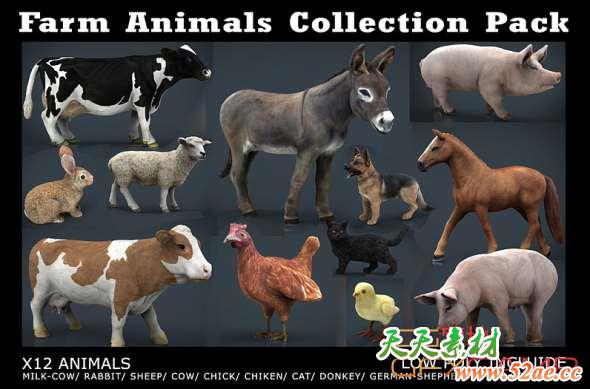 家禽动物3D模型 Cubebrush – Farm Animals Collection Pack-天天素材网
