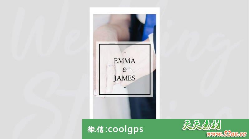 PR模板 婚礼婚庆故事包 - Premiere Pro模板-天天素材网