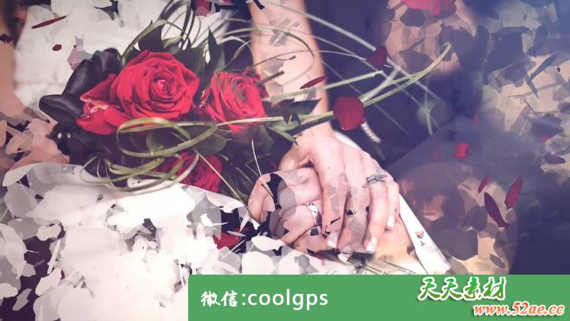 PR模板 浪漫婚礼婚庆幻灯片 - Premiere Pro模板-天天素材网