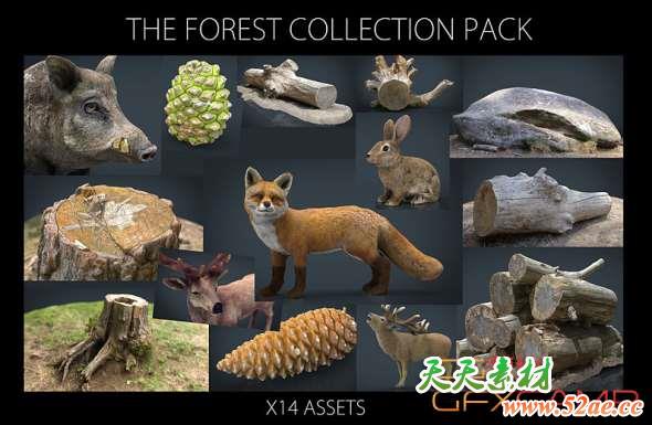 森林动植物3D模型 Cubebrush – The Forest Collection Pack-天天素材网