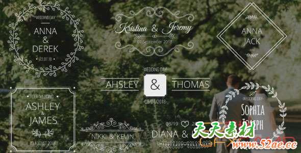 AE模板-婚礼文字标题动画 Wedding Names-天天素材网