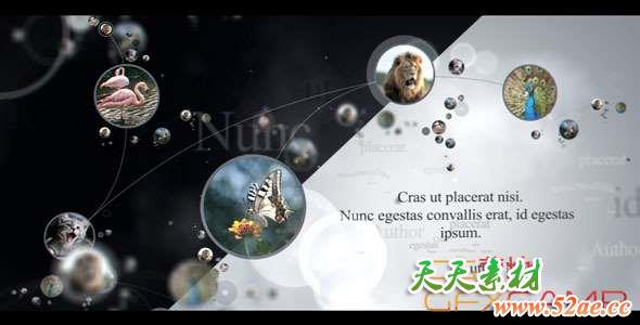 AE模板-图像连接动画片头 connections-天天素材网