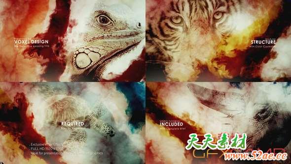 AE模板-悬疑侦探宣传片头 The Detective Title-天天素材网