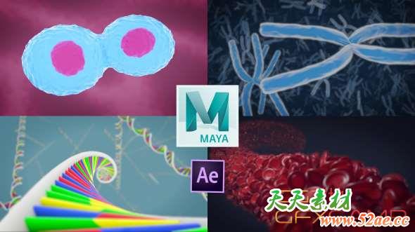 医疗化学生物细胞元素Maya动画教程 Skillshare – 3D Medical Animation in Autodesk Maya-天天素材网