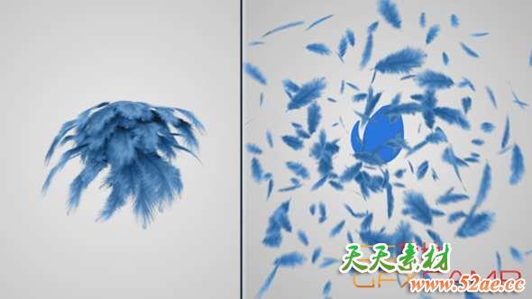 AE模板-羽毛生长飘落Logo动画 Feathers Logo Reveal-天天素材网
