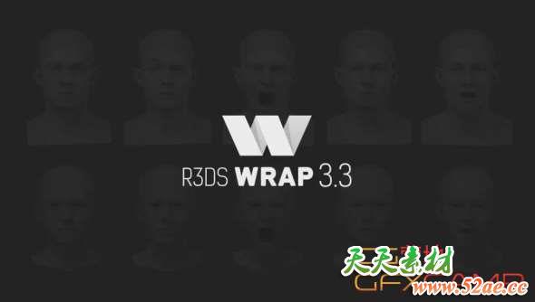 三维模型拓扑软件 R3DS WRAP v3.3.17 Win破解版-天天素材网