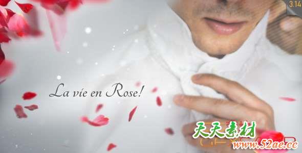 AE模板-玫瑰花瓣婚礼包装片头 La Vie en Rose – Wedding template-天天素材网