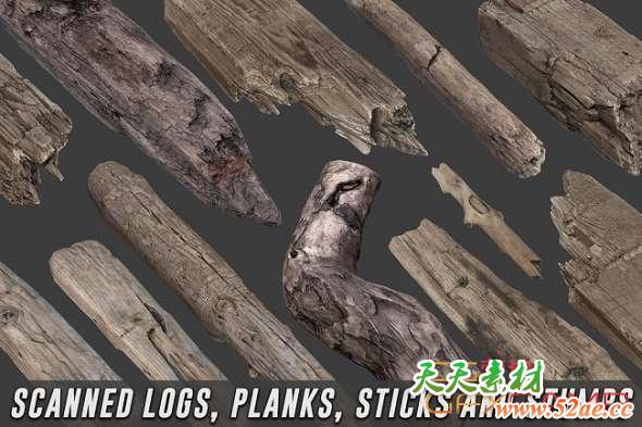 树木树状棍子3D模型 Cubebrush – Scanned Logs Planks Sticks and Stumps-天天素材网