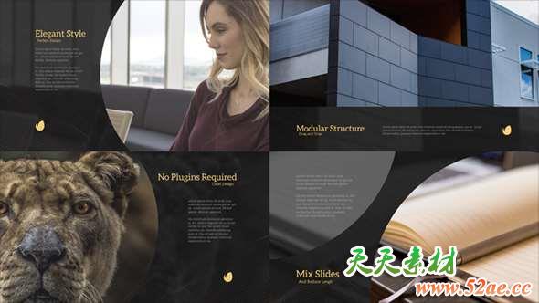 AE模板-公司企业大气优雅包装片头 Elegant Slides-天天素材网