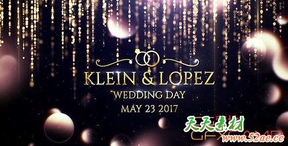 AE模板-金色粒子帘幕背景婚礼片头 Wedding Opener-天天素材网