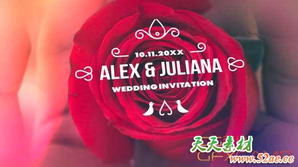 AE模板+PR预设-婚礼文字标题动画 Minimal & Luxury Wedding Titles-天天素材网