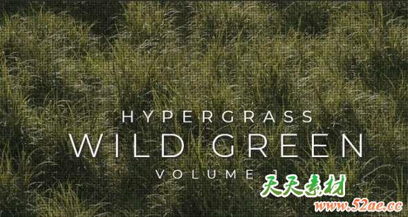 草地野草3D模型(FBX/OBJ格式) Vertex Library HyperGrass 01 WildGreen-天天素材网