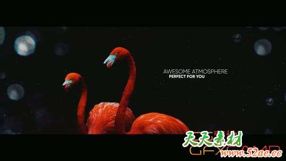 AE模板-梦幻幻灯片展示片头 The Slideshow-天天素材网