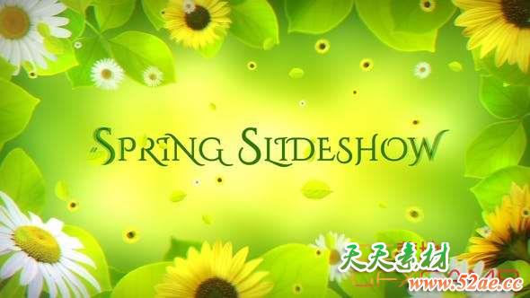 AE模板-春天树叶花朵边框幻灯片开场 Spring Slideshow-天天素材网