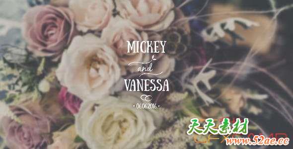 AE模板-10组婚礼文字标题动画 Wedding Titles Pack-天天素材网