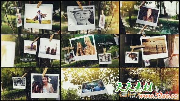 AE模板-户外拍立得照片相册悬挂片头 Tree of Life Photo Gallery-天天素材网