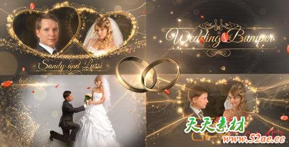 AE模板-金色粒子婚礼照片包装片头 Wedding Package-天天素材网