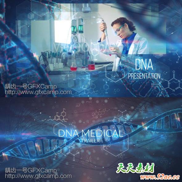 AE模板-科技感生物DNA视频宣传片头两套-天天素材网