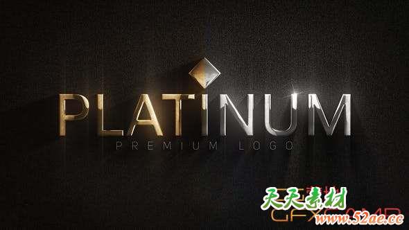 AE模板-三维金银质感Logo动画 Premium Logo-天天素材网
