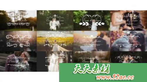 PR模板下载 美丽的文字标题 Beautiful titles-天天素材网