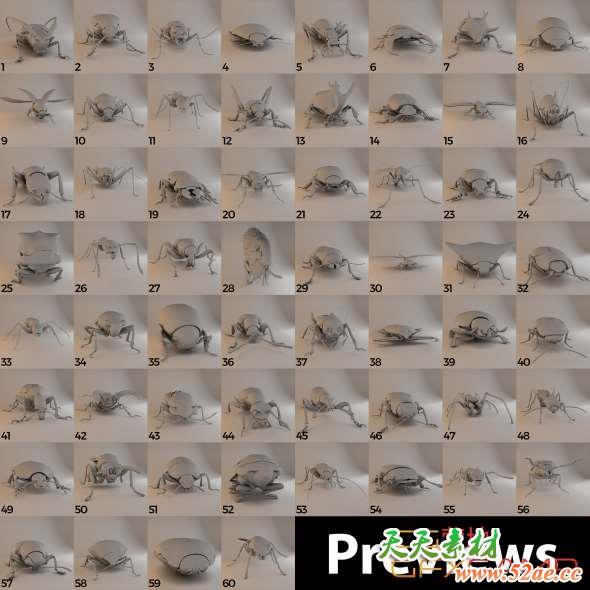 甲虫昆虫3D模型 CGTrader – Insects and Beetles Pack-天天素材网