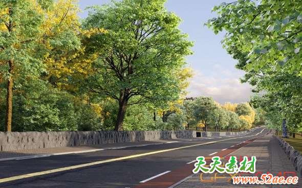马路植物树木3D模型 Maxtree – Plant Models Vol.11-天天素材网