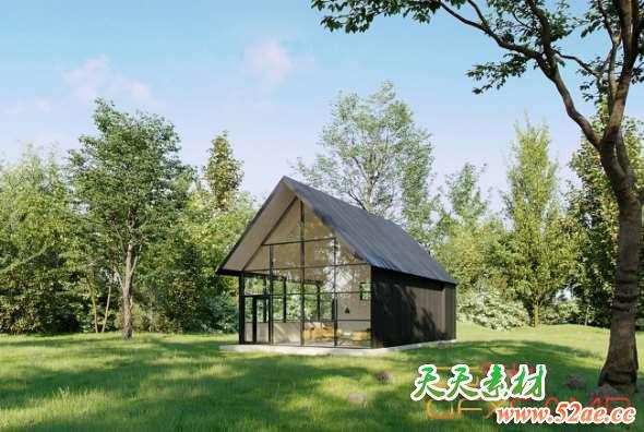 庭院植物树木3D模型 Maxtree – Plant Models Vol.12-天天素材网