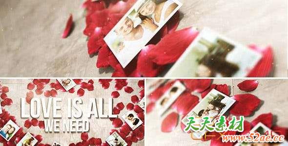AE模板-玫瑰花瓣婚礼照片相册片头 Rose Petals Heart – Photo Gallery-天天素材网