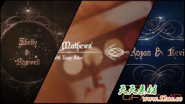 AE模板-优雅粒子婚礼文字标题动画 Elegant Wedding Titles Pack-天天素材网